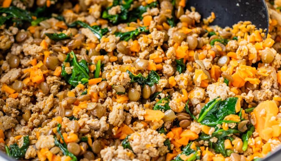 Crafting the Perfect Meals for Small Breed Dogs