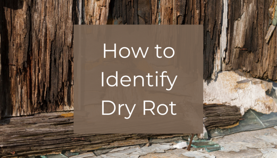 Buyer’s Alert: Beware of Dry Rot in Southern California Homes