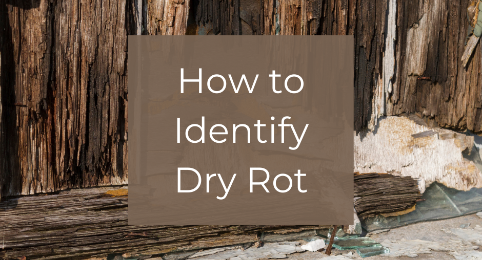 Buyer’s Alert: Beware of Dry Rot in Southern California Homes